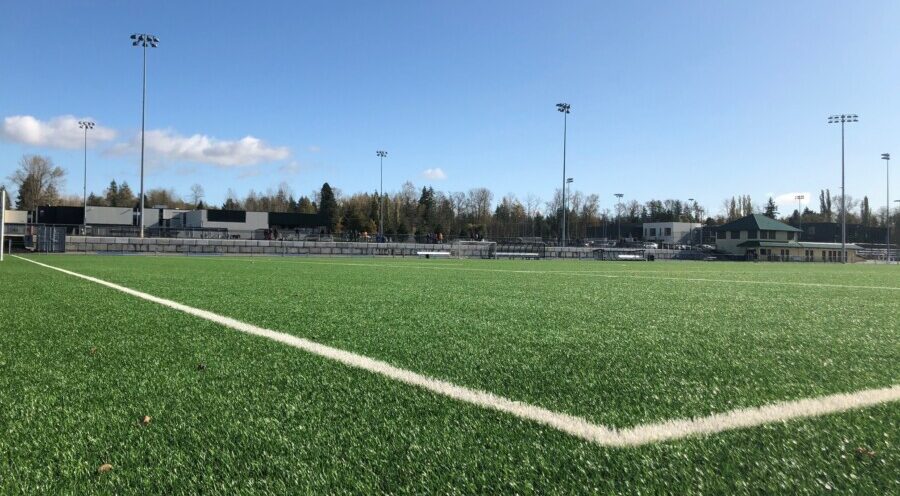 turf field